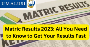 2023 Matric Results Released: How to Check Your Results