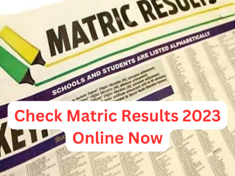 How To Check 2023 Matric Results Online ?