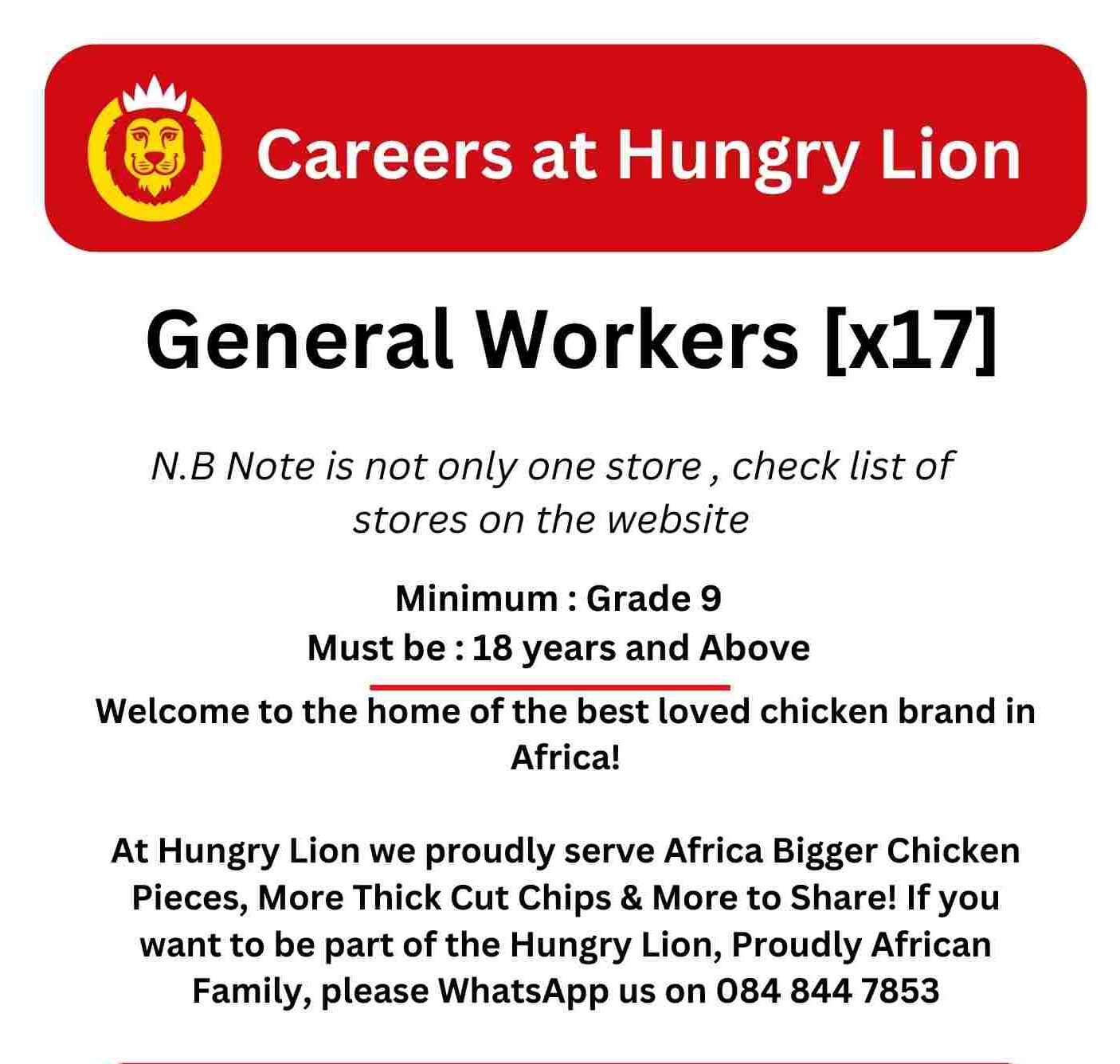 hungry lion jobs and careers