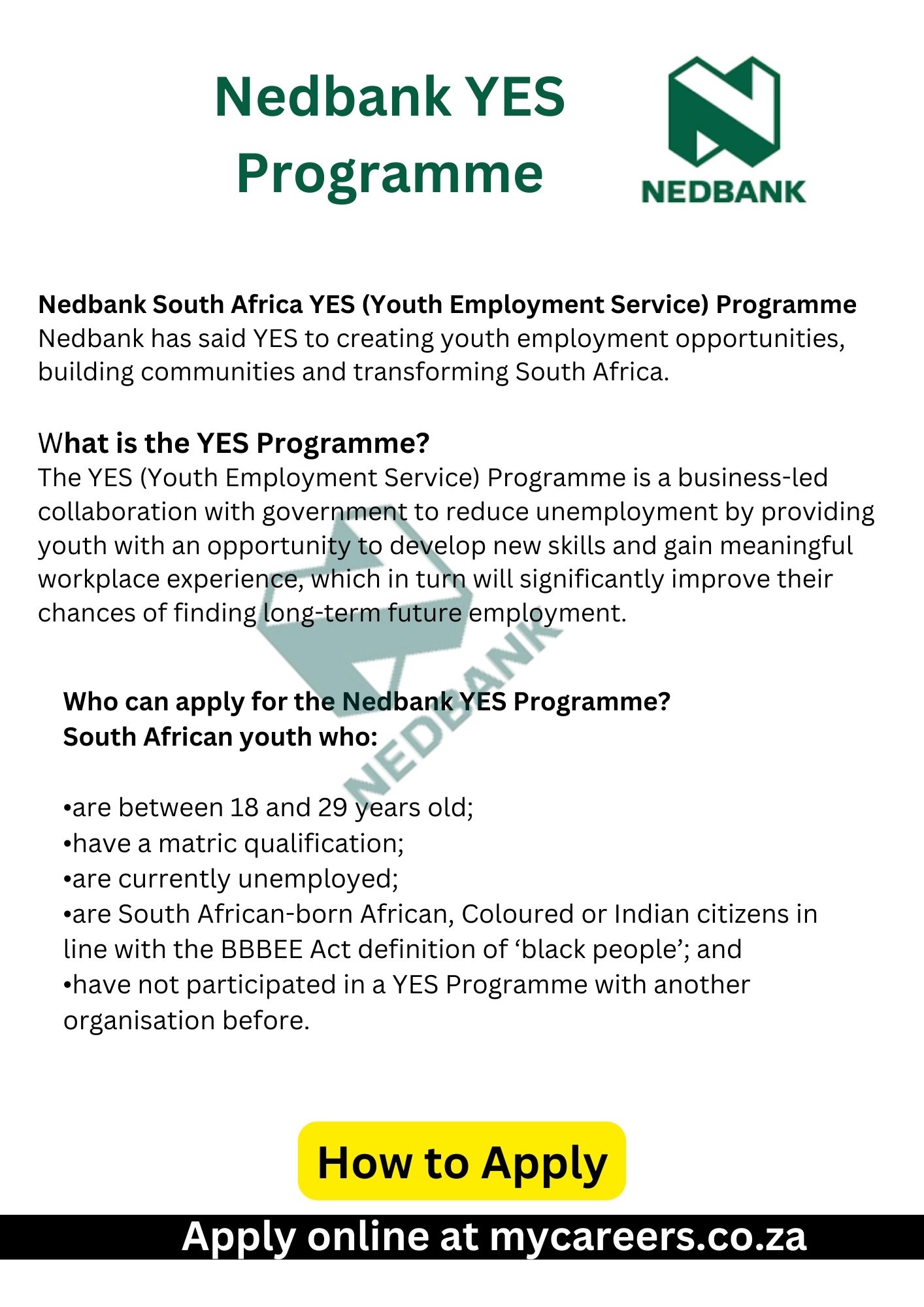 Nedbank YES Programme