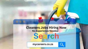 cleaners jobs